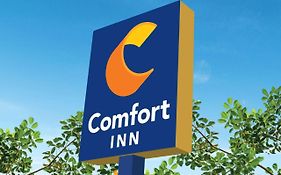 Comfort Inn Martinsville Exterior photo