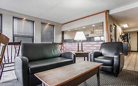 Comfort Inn & Suites Wyomissing - Reading Exterior photo