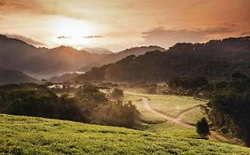 One&Only Nyungwe House Hotel Gisakura Exterior photo