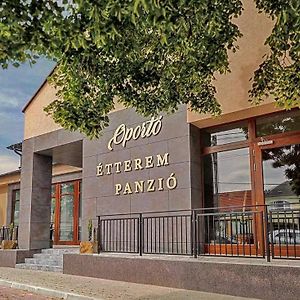 Oporto Panzio Bed & Breakfast Villany Exterior photo