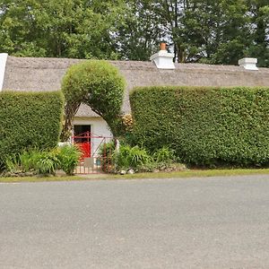 Mary Rose Cottage Castleisland Exterior photo