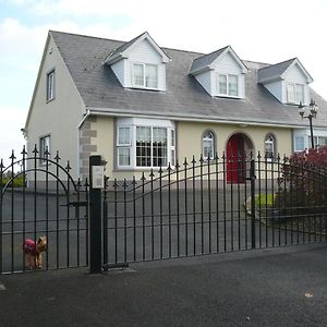 Tyreda Bed & Breakfast Ennis Exterior photo