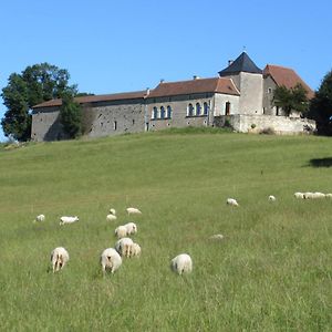 Nature Et Piscine Au Sommet Du Perigord Tourtoirac Exterior photo