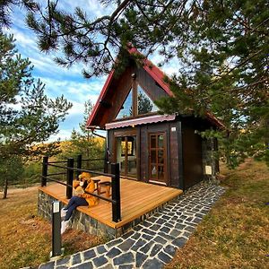 Previja Zlatibor Chalet Villa Exterior photo