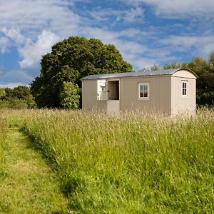 Romantic Secluded Shepherd Hut Hares Rest Southwick  Exterior photo