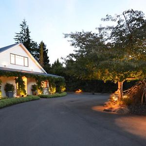 Olive Rabbit - Boutique Bed & Breakfast Turangi Exterior photo