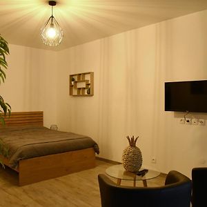 Appartement Tropical Et Jacuzzi Balneotherapie Draveil Exterior photo