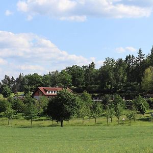 Ubytovani Pod Haniperkem Vodnany Exterior photo