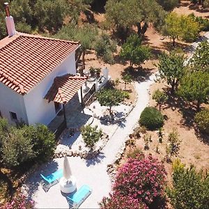 Kalokairi Cottage Skopelos Town Exterior photo