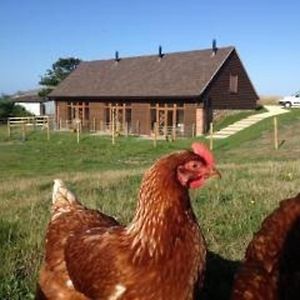 Bike Shed - Beautiful 1-Bed Cottage In Shorwell Exterior photo