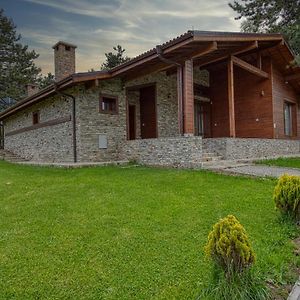 Pirin Style Villa & Spa Bansko Exterior photo