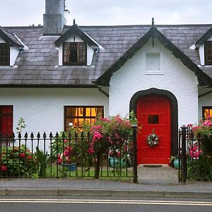 Ivy Cottage Steps From Killarney National Park Exterior photo