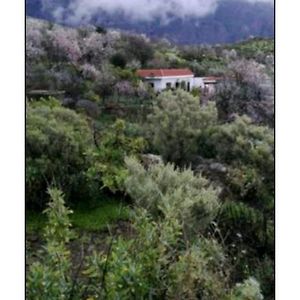 Cottage Near The Mountains Away From Crowd Las Palmas de Gran Canaria Exterior photo