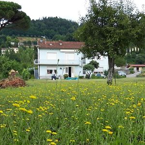 Affittacamere La Foresta Di Sopra Barga Exterior photo