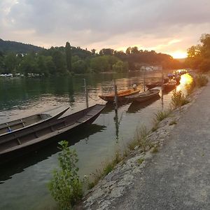 Zimmer Paradiso Busingen am Hochrhein Exterior photo