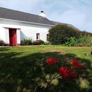 B&B The Red Door Cottage Donegal Town Exterior photo