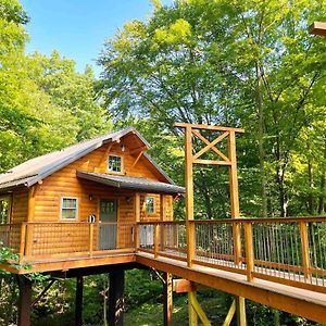Cricket Hill Treehouse D By Amish Country Lodging Villa Millersburg Exterior photo