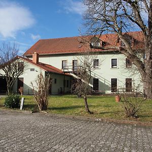 Altes Teichhaus - Pension Ottendorf-Okrilla Exterior photo