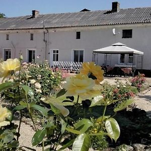 Le Vieux Logis Bed & Breakfast Montreuil-Bellay Exterior photo