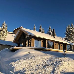 Modern New Large Cabin Ski In Out Sjusjoen Exterior photo