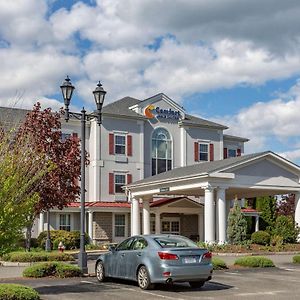 Comfort Inn & Suites Hadley Exterior photo