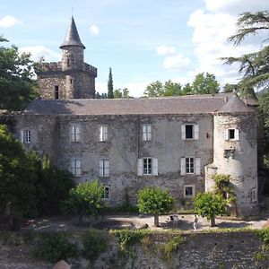 Le Chateau De Cambiaire Saint-Etienne-Vallee-Francaise Exterior photo
