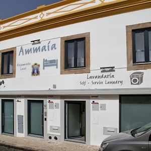 Ammaia Al Hotel Portalegre Exterior photo