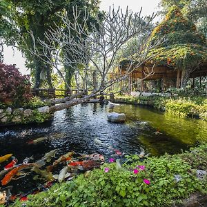 Phu Chaisai Mountain Resort Mae Salong Nai Exterior photo