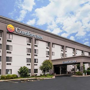 Comfort Inn South - Springfield Exterior photo