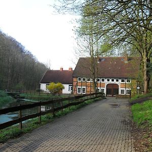Hollenmuhle Bed & Breakfast At The Mill Pond Hessisch Oldendorf Exterior photo