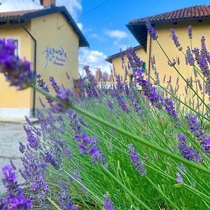 Cascina Domina Hotel Gassino Torinese Exterior photo