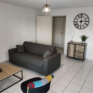 Spacieux Et Joli Appartement De 2 A 4 Personnes • Parking • Wifi Fenouillet  Exterior photo