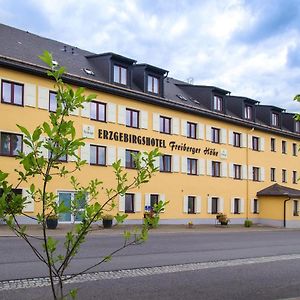 Erzgebirgshotel Freiberger Hohe Eppendorf  Exterior photo