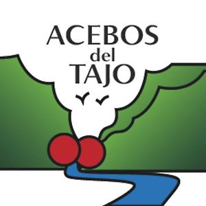 Acebos Del Tajo Apartment Peralejos de las Truchas Exterior photo