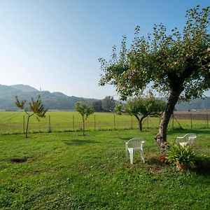 Ca' Dei Berici Bed & Breakfast Tormeno Exterior photo