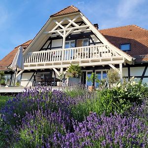 Romantik-Suite Nordelsass B&B Oberhoffen-les-Wissembourg Exterior photo