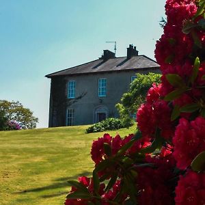 Willowbank House & Farm Keady Exterior photo