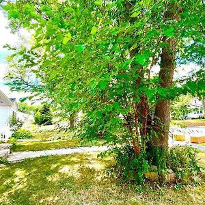 Central Cozy Home With Free Parking Minneapolis Exterior photo