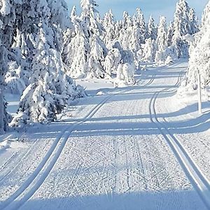 Modern Ap Next To The Ski Stadium, Alpine Slope Sjusjoen Exterior photo