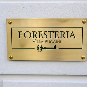 Foresteria Villa Puccini Casa Per Ferie Torre del Lago Puccini Exterior photo