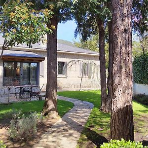 El Chalet De Navacerrada Villa Exterior photo