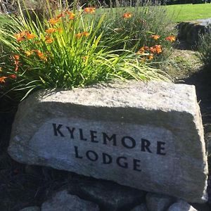 Kylemore Lakeview Retreat Blessington Exterior photo