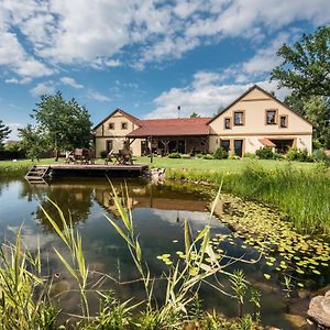 Penzion U Lisky Jarosov nad Nezarkou Exterior photo