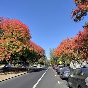 Lovely Studio, Walking To Stanford, Quiet, Convenient, W/ Free Parking Palo Alto Exterior photo