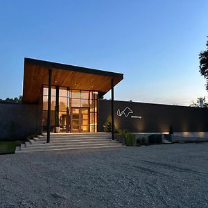 Mawun Lodge Villarrica Exterior photo