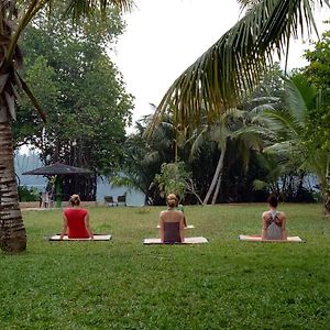 Mangrove Villa - Yoga & Ayurveda Bentota Exterior photo