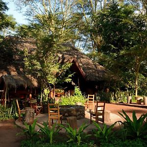 Migunga Tented Camp Mto wa Mbu Exterior photo