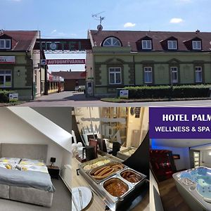 Hotel & Spa Centrum Palmira Uhersky Brod Exterior photo