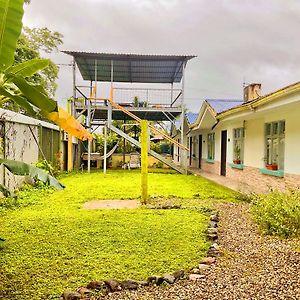 Tropical Housing By El Rodeo - Calle El Manglar Puerto Jimenez Exterior photo