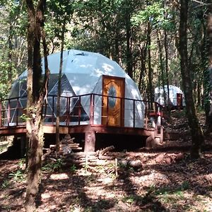 Glamping Don Delfis Hotel Valle de Bravo Exterior photo